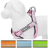 Blueberry Pet Step-in Harnesses 3M Reflective 5/8" Small Spring Pastel Baby Pink Adjustable No Pull Padded Dog Harness, Matching Collar Available Separately