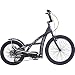 Randy Ross Adult Hammer Stepper Bike