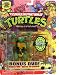 Teenage Mutant Ninja Turtles 25th Anniversary Action Figure Raphael