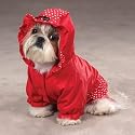 East Side Collection Polka Dots and Ruffles Medium Red Raincoat