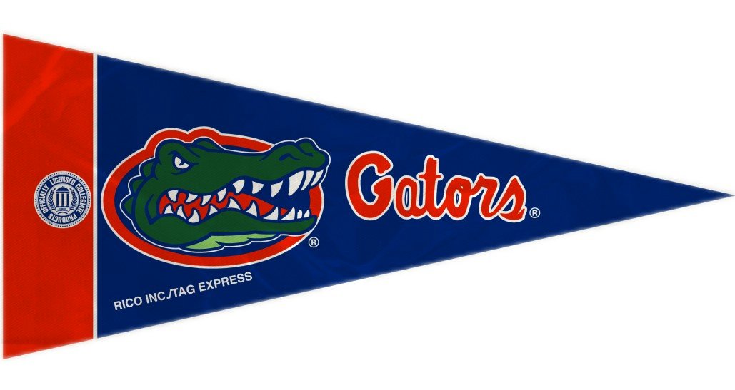 Amazon.com: Florida Gators UF NCAA Mini Pennants - 8 Piece Set ...
