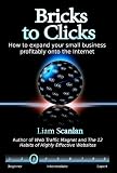Bricks to Clicks (Small Business Owner Series)