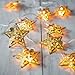 Domire Battery Operated Warm White LED Fairy Lights 10 (Gold) Metal Star String Decoration Light for Festival Halloween Christmas Party Wedding