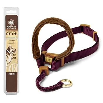 Set A Shopping Price Drop Alert For Petmate 3/4-Inch by 16-24-Inch Medium AKC Padded Dog Halter, Burgundy