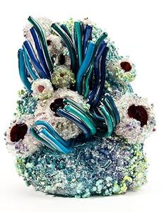 Aqua Coral Sanctuary