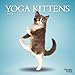 Yoga Kittens 18-Month 2015 Calendar