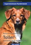 Produkt-Bild: Toller: Nova Scotia Duck Tolling Retriever