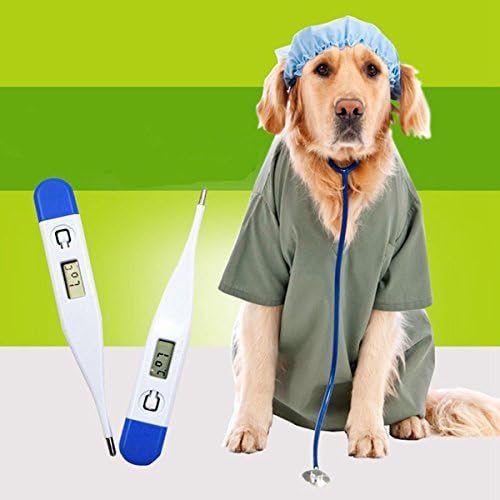 Accurate Pet Dog Digital Thermometer Portable Dog Electronic Thermometer