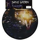 Kingdom [Vinyl Single]