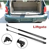 Partsam Qty2 Rear Hatch Liftgate Tailgate Gas Charged Lift Supports Struts For 1998-2003 Dodge Durango