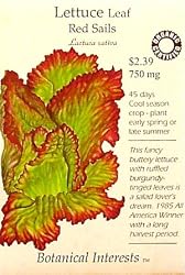 Red Sails Lettuce Leaf Certified Organic Seeds 200 Seeds