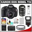 Canon EOS Rebel T3i 18.0 MP Digital SLR Camera Body & EF-S 18-55mm IS II Lens with 55-250mm IS Lens + 16GB Card + Battery + Case + (2) Filters + Flash + Cleaning Kit