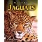 Top 10 Belize Nature Books