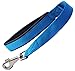Short Dog Leash Padded Handle 1