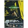 ���̒��� [DVD]