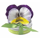 Bloembox Tiny Tin Edible Flowers: Viola