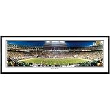 Tennessee Volunteers 34 Yard Line Panoramic Photo