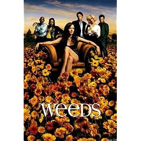 Weeds - Showtime Poster - (Mary-Louise Parker and Kevin Nealon)