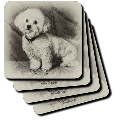 bichon frise warts