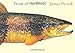 Trout of the World