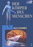 Der K&ouml;rper des Menschen 2 - Das Gehirn