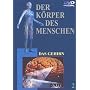 Der K�rper des Menschen 2 - Das Gehirn 