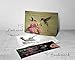 CADIAA Hummingbird & Cattleya Orchid Night Lamp by Ibis & Orchid Design
