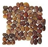 Polished Pebble Tile - Rustic Red 12x12"