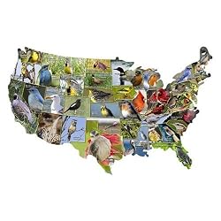 State Birds 1000 pc USA-Shaped Jigsaw Puzzle by TDC Games