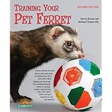 Training Your Pet Ferret