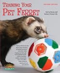 Training Your Pet Ferret