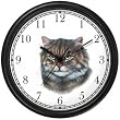 Main Coon Cat - JP - Wall Clock by WatchBuddy Timepieces (Black Frame)