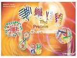 The Protein Chart