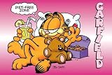 Posters: Garfield Poster - Diet Free Zone (36 x 24 inches)