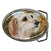 Limited Edition Violano Belt Buckle Dachshund Dog Wirehaired