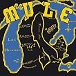 MULE-MULE