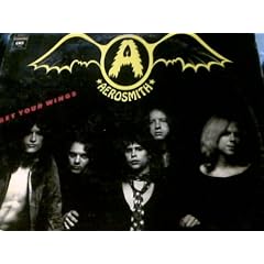 Get Your Wings (Vinyl)
