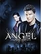 Angel - Season Two (Slim Set)