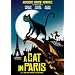A Cat in Paris