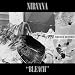 Bleach (20th Anniversary Deluxe Edition) [Vinyl]