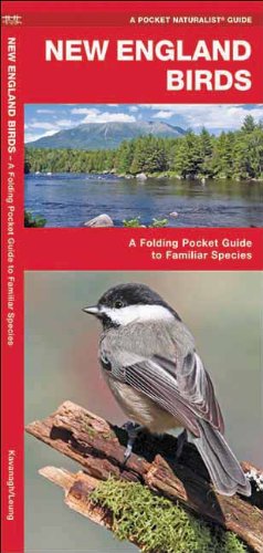 New England Birds: A Folding Pocket Guide to Familiar Species (Pocket Naturalist Guide Series)