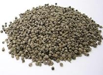 CHASTE BERRY / seeds 1lb
