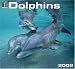 Dolphins 2009 Wall Calendar 12 X 12