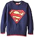 Warner Brothers Boys' Superman Boys Sweater
