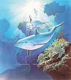 Dolphins 252-72023 Wall Mural