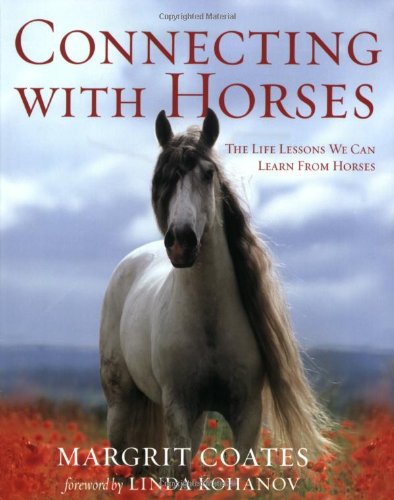 connecting with horses the life lessons we can learn from horses