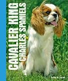 Cavalier King Charles Spaniels