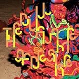 Revue Bjork  / The Dull Flame Of Desire