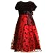 Girl Clothes Christmas BURGUNDY Floral Plus Size Dress RARE EDITIONS 10.5-18.5