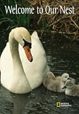 National Geographic by New Creative - Swan & Signets Garden Impressions Flag - B000W90CDE